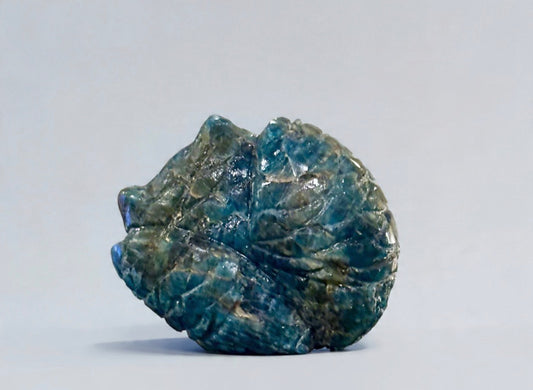 Apatite Owl by Kateri Quandelacy Sanchez