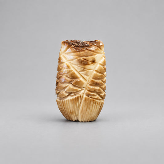 Fossilized Ivory Owl by Kateri Quandelacy Sanchez