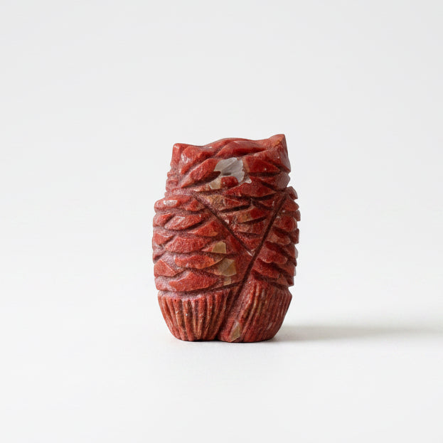 Apple Coral Owl by Kateri Quandelacy Sanchez