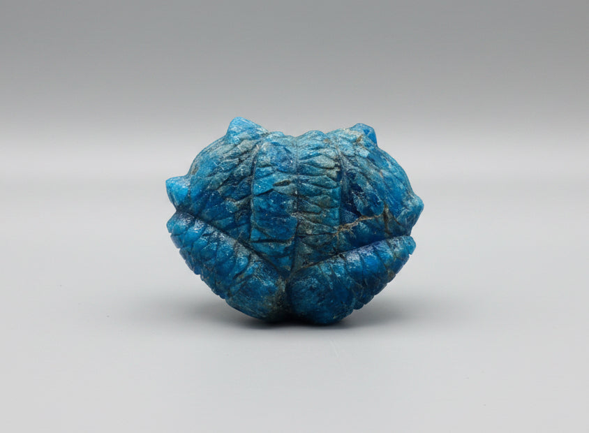 Apatite Owls by Kateri Quandelacy Sanchez