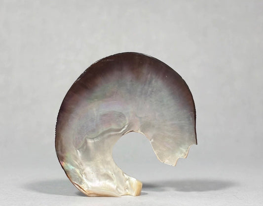 Black Lip Mother of Pearl Bear and Corn Maidens by Kateri Quandelacy Sanchez