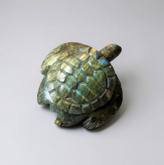 Labradorite Turtle by Kateri Quandelacy Sanchez (Zuni)