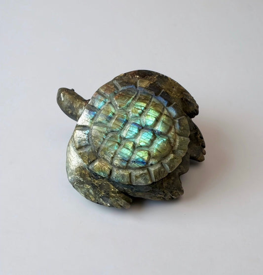 Labradorite Turtle by Kateri Quandelacy Sanchez (Zuni)