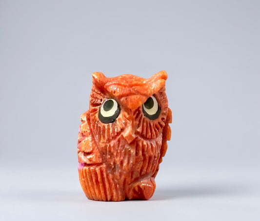 Apple Coral Owl by Kateri Quandelacy Sanchez