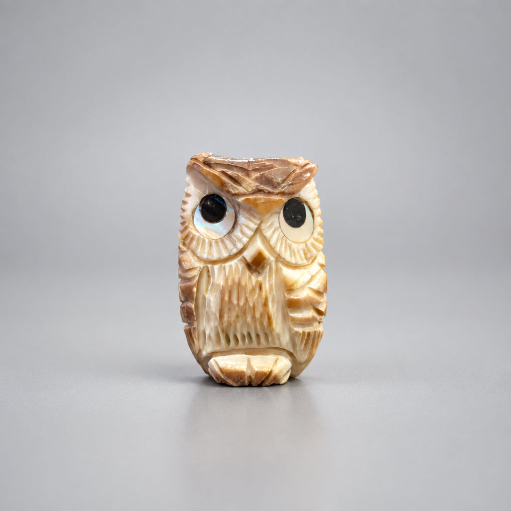 Fossilized Ivory Owl by Kateri Quandelacy Sanchez