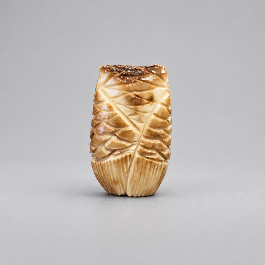 Fossilized Ivory Owl by Kateri Quandelacy Sanchez