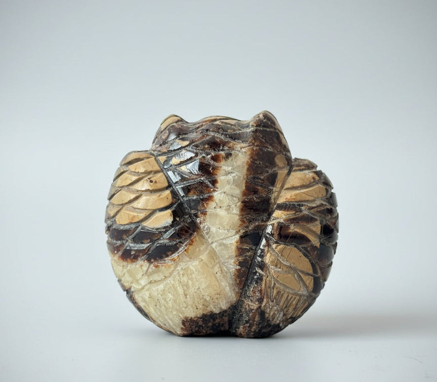 Septarian Nodule Owl by Kateri Quandelacy Sanchez