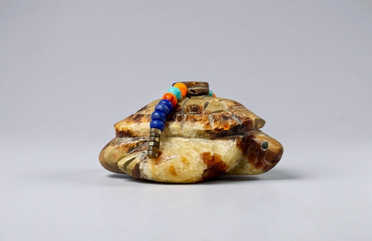 Septarian Nodule Turtle by Kateri Quandelacy Sanchez