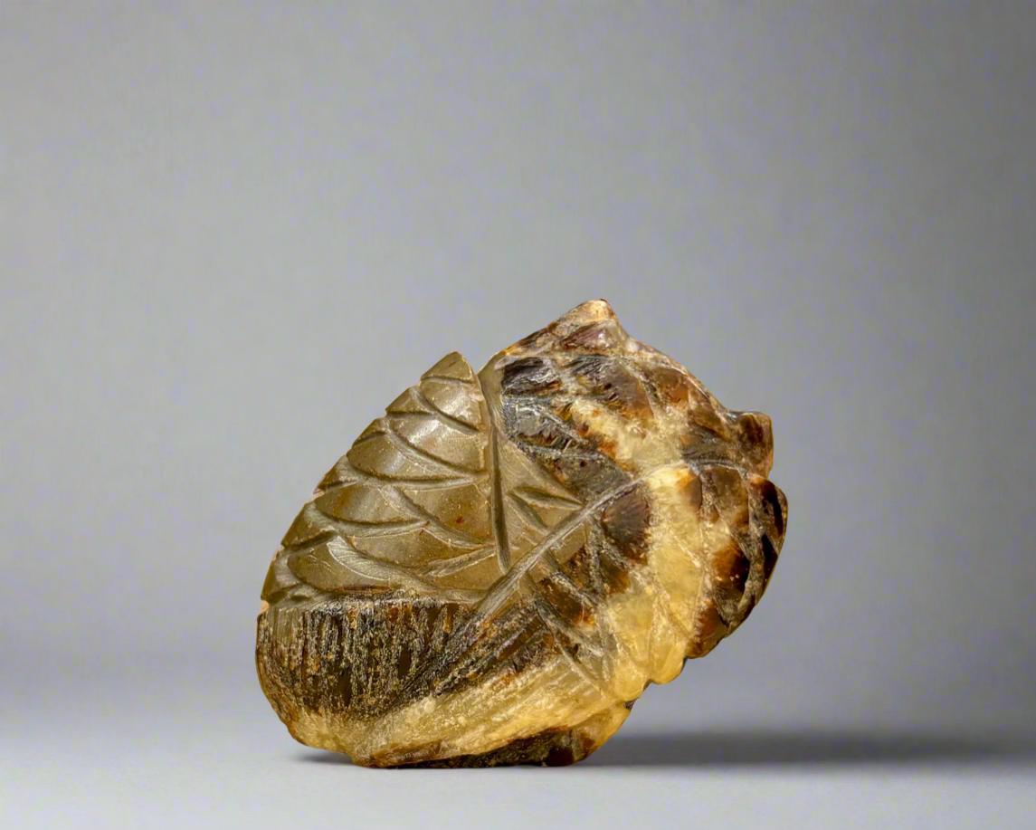 Septarian Nodule Owl by Kateri Quandelacy Sanchez