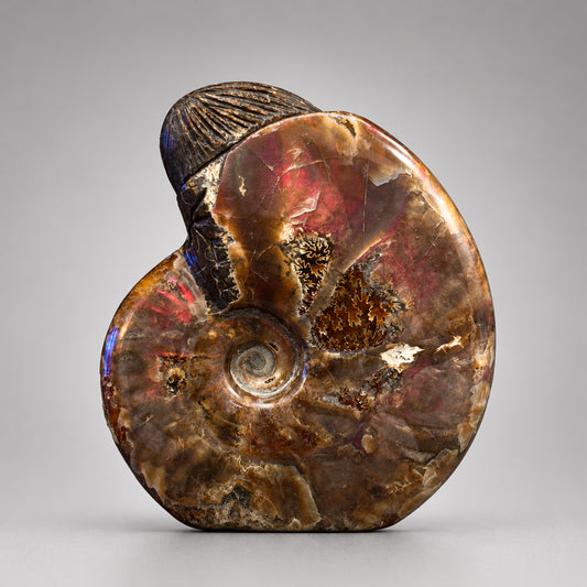 Fossilized Ammolite Corn Maiden by Kateri Quandelacy Sanchez