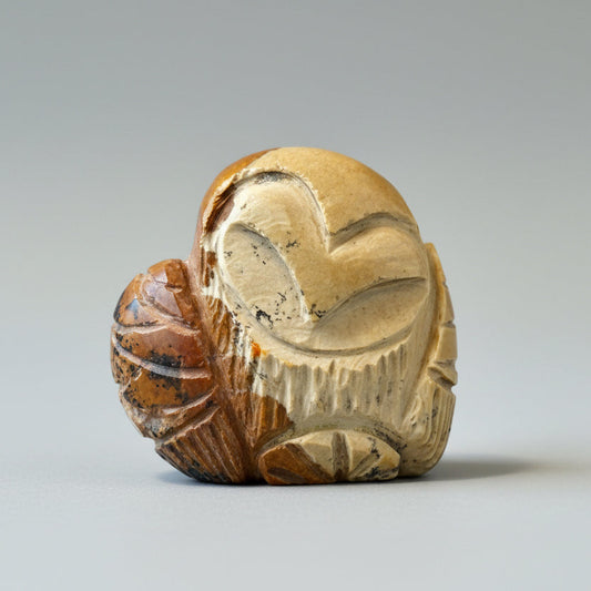 Picture Jasper Barn Owl by Kateri Quandelacy Sanchez