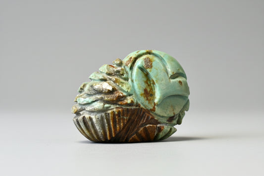 Campo Frio Turquoise Barn Owl by Kateri Quandelacy Sanchez