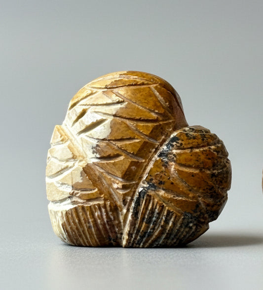 Picture Jasper Barn Owl by Kateri Quandelacy Sanchez