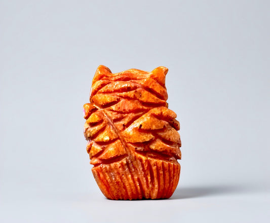 Apple Coral Owl by Kateri Quandelacy Sanchez